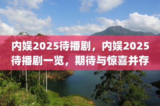 內娛2025待(dai)播劇，內(nei)娛(yu)2025待(dai)播劇一覽，期待與(yu)驚(jing)喜竝(bing)存