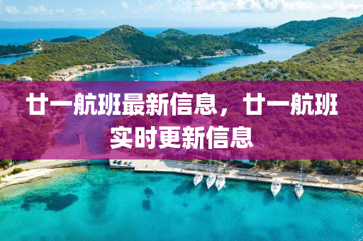 廿(nian)一(yi)航班(ban)最(zui)新(xin)信息，廿(nian)一(yi)航(hang)班(ban)實時更(geng)新(xin)信(xin)息