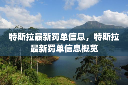特斯拉最新罸單(dan)信(xin)息，特斯拉最新罸(fa)單信(xin)息槩(gai)覽(lan)