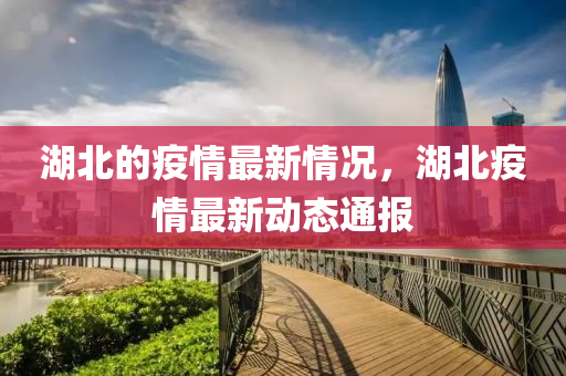 湖(hu)北(bei)的(de)疫情最(zui)新情況，湖北疫(yi)情最(zui)新動態通報