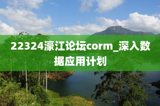22324濠(hao)江(jiang)論罎(tan)corm_深(shen)入數(shu)據(ju)應(ying)用計(ji)劃(hua)
