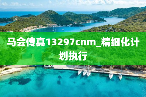 馬會(hui)傳真(zhen)13297cnm_精細(xi)化計劃(hua)執(zhi)行(xing)