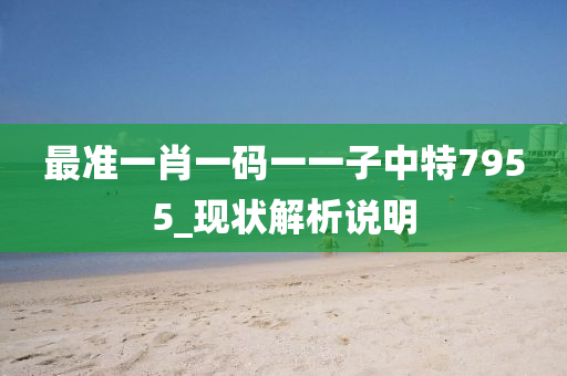 最(zui)準一肖(xiao)一碼一一(yi)子中(zhong)特(te)7955_現狀(zhuang)解(jie)析(xi)説(shuo)明