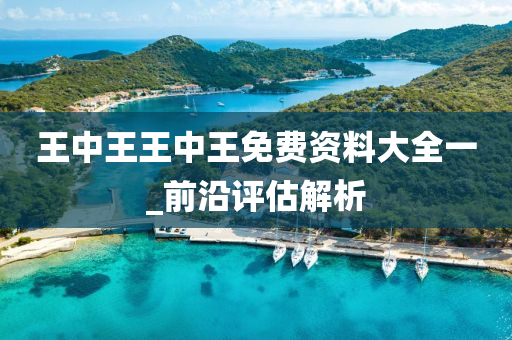 王(wang)中(zhong)王(wang)王(wang)中(zhong)王(wang)免費(fei)資(zi)料(liao)大(da)全(quan)一(yi)_前沿評(ping)估(gu)解(jie)析(xi)