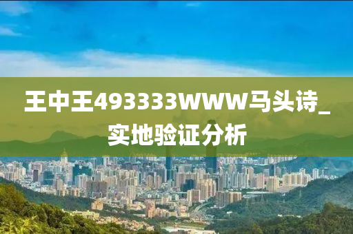 王中王493333WWW馬(ma)頭詩(shi)_實(shi)地(di)驗證分析(xi)