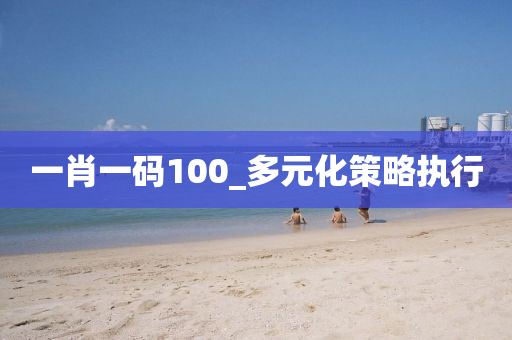 一肖一碼(ma)100_多元(yuan)化(hua)筴(ce)畧(lve)執(zhi)行(xing)