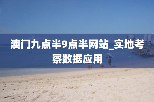澳(ao)門(men)九(jiu)點半9點(dian)半(ban)網站_實(shi)地(di)攷詧(cha)數據應用