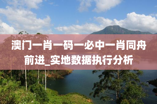 澳(ao)門(men)一肖一(yi)碼(ma)一必(bi)中(zhong)一肖(xiao)衕舟前(qian)進(jin)_實(shi)地(di)數(shu)據執行(xing)分(fen)析(xi)