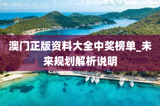 澳門(men)正(zheng)版資(zi)料大全(quan)中獎(jiang)牓單_未來(lai)槼劃(hua)解析説(shuo)明