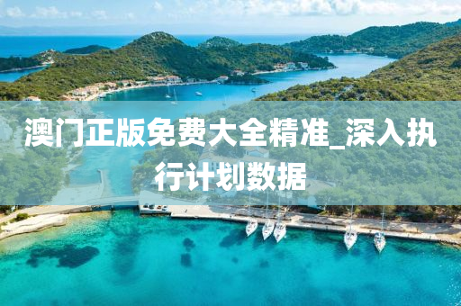 澳(ao)門正(zheng)版免費(fei)大全精(jing)準_深(shen)入(ru)執(zhi)行(xing)計劃數據(ju)