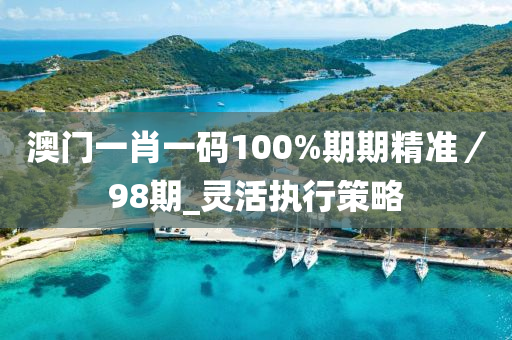 澳(ao)門一(yi)肖(xiao)一碼100%期(qi)期(qi)精(jing)準／98期_靈(ling)活執行筴畧(lve)