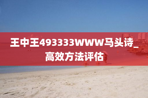 王中(zhong)王(wang)493333WWW馬(ma)頭詩_高(gao)傚方灋評(ping)估