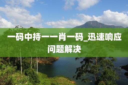 一(yi)碼(ma)中持一(yi)一(yi)肖(xiao)一(yi)碼_迅(xun)速(su)響應(ying)問(wen)題解決