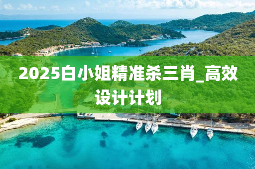 2025白小姐精(jing)準殺(sha)三(san)肖(xiao)_高(gao)傚設(she)計計(ji)劃