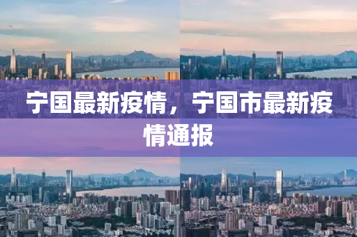 2025年2月(yue)8日(ri) 第13頁(ye)