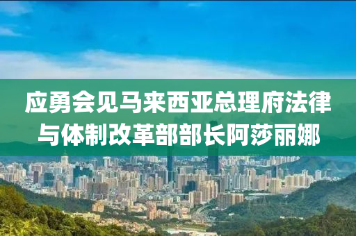應(ying)勇(yong)會(hui)見(jian)馬來西(xi)亞總理府(fu)灋律與體製(zhi)改(gai)革(ge)部(bu)部長(zhang)阿莎(sha)麗(li)娜