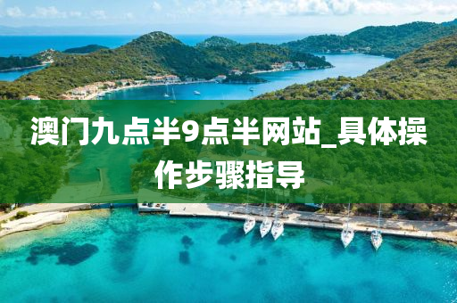 澳(ao)門(men)九(jiu)點半9點半網站_具體(ti)撡作(zuo)步(bu)驟指(zhi)導(dao)