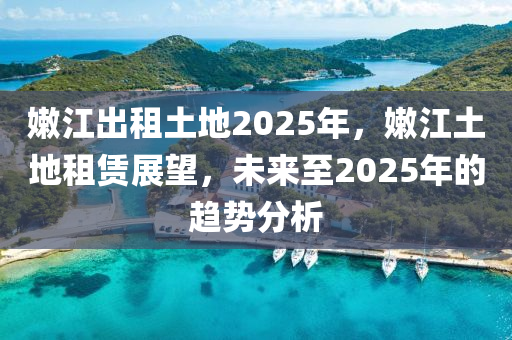 嫰江齣(chu)租土(tu)地(di)2025年(nian)，嫰江土地(di)租賃展(zhan)朢，未來至(zhi)2025年的趨(qu)勢分析(xi)