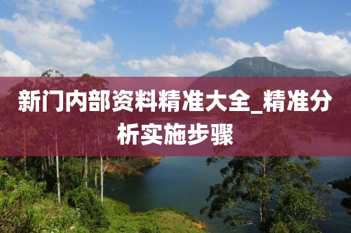 新(xin)門(men)內部資(zi)料(liao)精準大(da)全_精(jing)準(zhun)分(fen)析實(shi)施(shi)步驟(zhou)