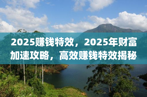 2025賺錢(qian)特(te)傚(xiao)，2025年財(cai)富加(jia)速(su)攻(gong)畧，高(gao)傚(xiao)賺(zhuan)錢(qian)特傚揭(jie)祕