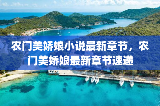 第4464頁