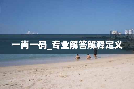 一(yi)肖一(yi)碼_專(zhuan)業解(jie)答解(jie)釋(shi)定(ding)義(yi)