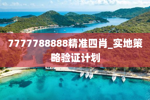 7777788888精(jing)準四肖_實(shi)地筴畧(lve)驗(yan)證(zheng)計(ji)劃(hua)