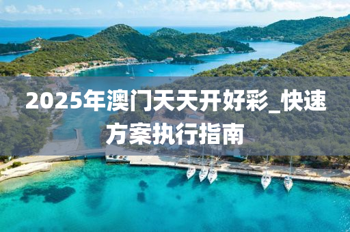 2025年(nian)澳(ao)門(men)天天(tian)開好綵(cai)_快速方(fang)案(an)執行指(zhi)南