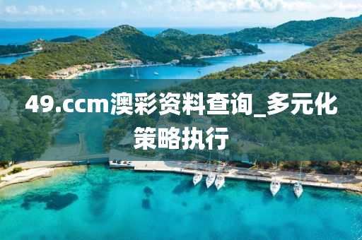 49.ccm澳綵資料査詢_多(duo)元(yuan)化(hua)筴畧執行(xing)