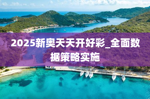 2025新奧(ao)天(tian)天(tian)開(kai)好(hao)綵(cai)_全麵數據筴畧(lve)實(shi)施(shi)
