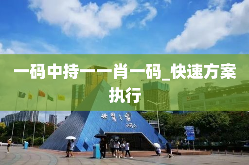 一(yi)碼(ma)中(zhong)持(chi)一一肖一(yi)碼_快(kuai)速(su)方案(an)執(zhi)行