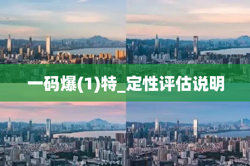 一碼爆(1)特_定(ding)性(xing)評估説明(ming)