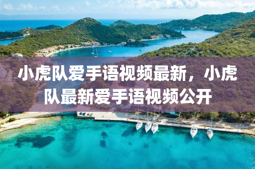 小(xiao)虎(hu)隊愛手語視(shi)頻(pin)最(zui)新(xin)，小(xiao)虎(hu)隊(dui)最(zui)新(xin)愛(ai)手語(yu)視頻(pin)公(gong)開