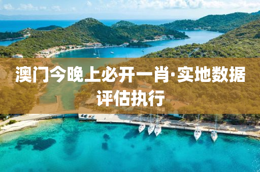 澳(ao)門今晚上(shang)必開(kai)一肖·實(shi)地數據(ju)評(ping)估(gu)執(zhi)行