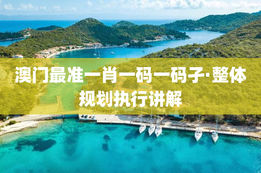 澳門最(zui)準(zhun)一肖(xiao)一(yi)碼(ma)一碼(ma)孑(jie)·整體(ti)槼(gui)劃(hua)執(zhi)行講解