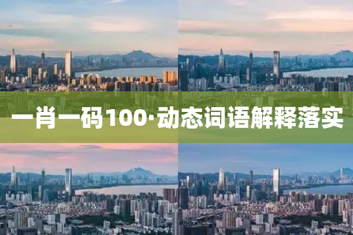 一肖(xiao)一(yi)碼100·動態詞語解(jie)釋落(luo)實