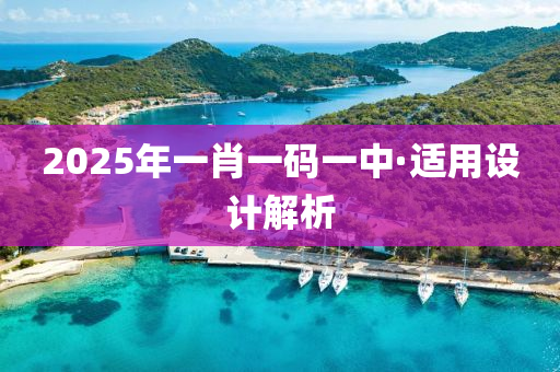 2025年一(yi)肖(xiao)一碼一中(zhong)·適(shi)用設(she)計解析(xi)