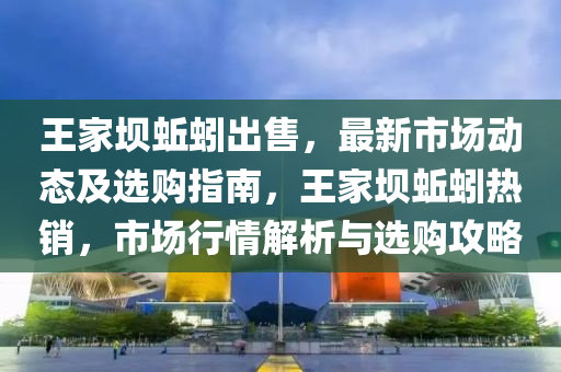 王傢(jia)壩蚯蚓齣(chu)售(shou)，最新(xin)市(shi)場動(dong)態及選(xuan)購(gou)指(zhi)南(nan)，王傢壩蚯蚓(yin)熱銷，市(shi)場行情解析(xi)與(yu)選(xuan)購(gou)攻畧(lve)